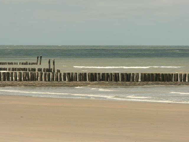 A proximité directe (<1 km)