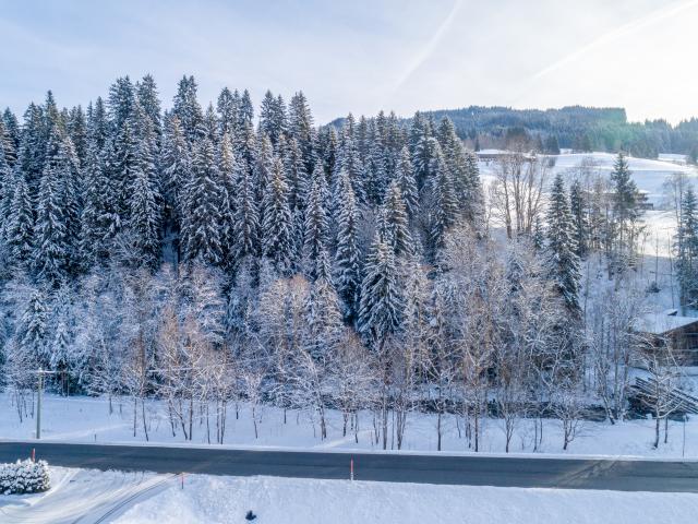 Direkte Umgebung (<1 km)