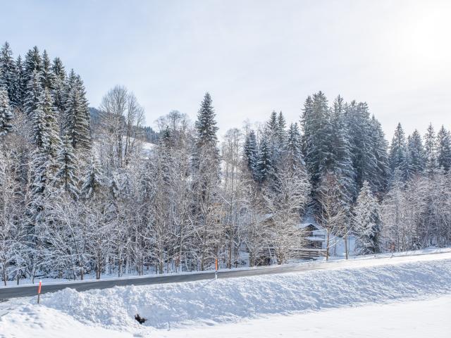 Direkte Umgebung (<1 km)