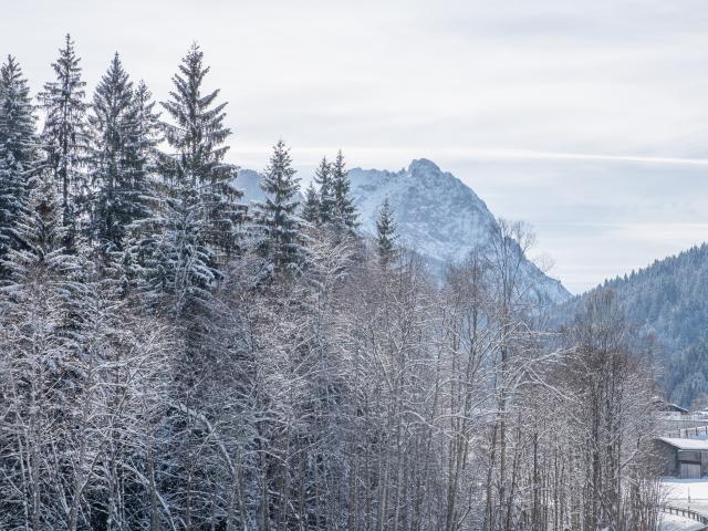 Direkte Umgebung (<1 km)