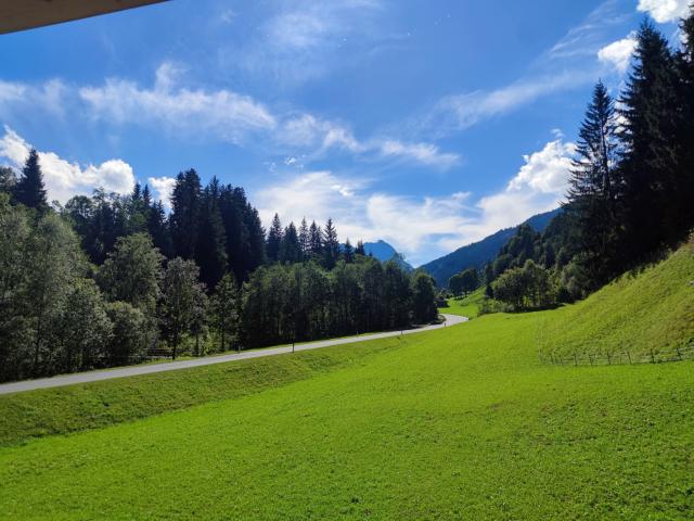 Aussicht vom Ferienhaus