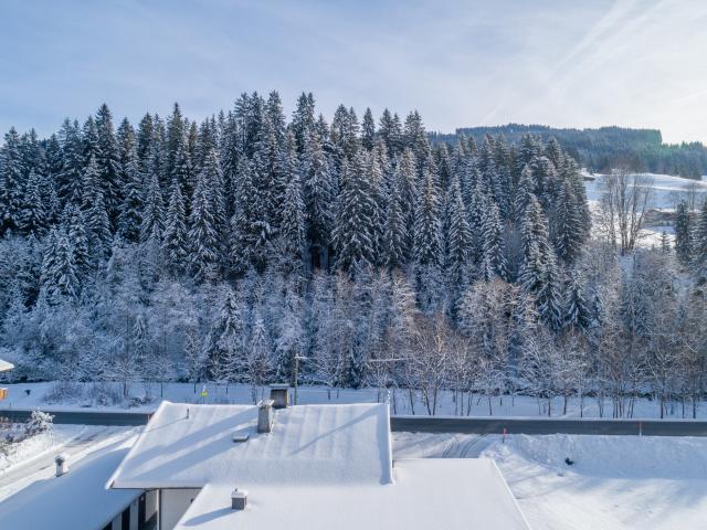 Direkte Umgebung (<1 km)