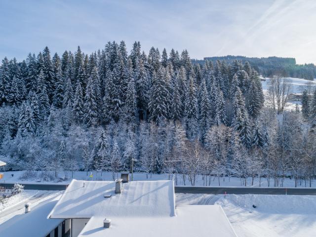 Immediate Surroundings (<1 km)