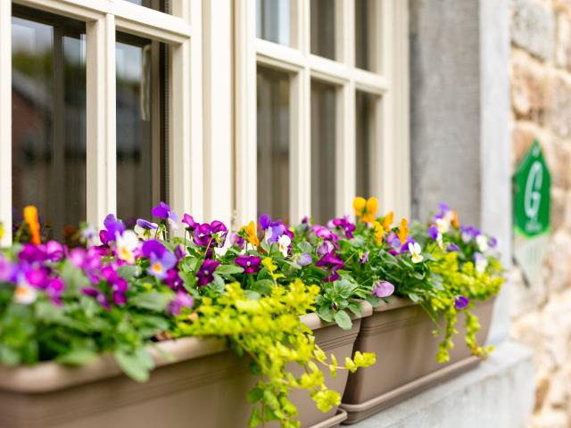 Ambiente / Nahaufnahme