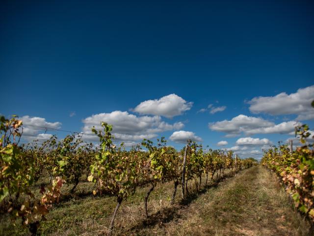 View from Holiday Home [summer]