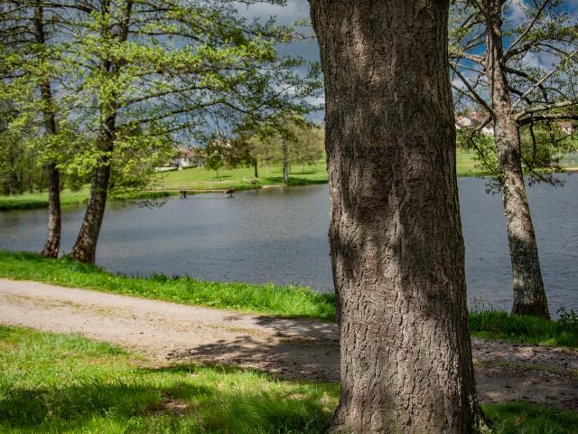 Direkte Umgebung [Sommer] (<1 km)