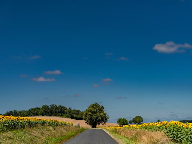 Dans les environs (1-5 km)