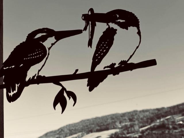 Ambiente / Nahaufnahme