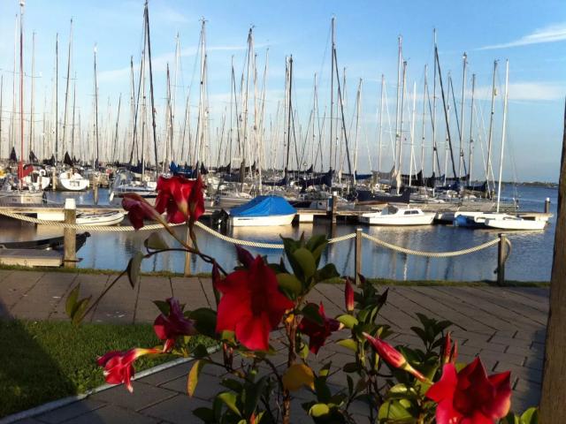 Direkte Umgebung [Sommer] (<1 km)