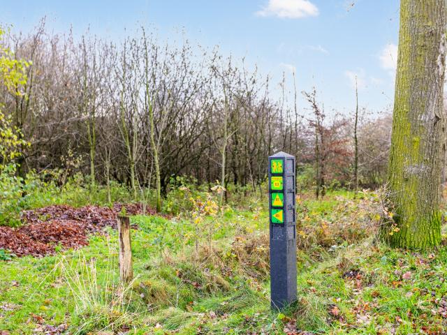 Direkte Umgebung (<1 km)