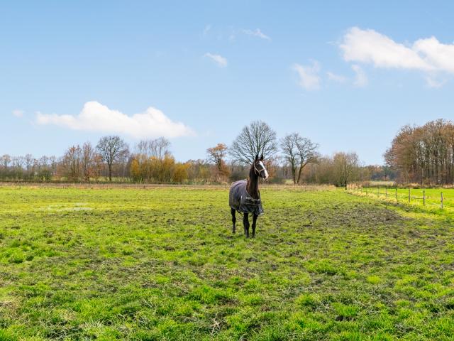 Direkte Umgebung (<1 km)