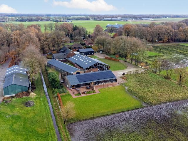 Direkte Umgebung (<1 km)