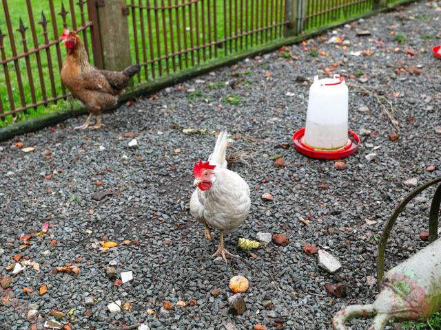 Ausstattung und Service des Ferienhauses