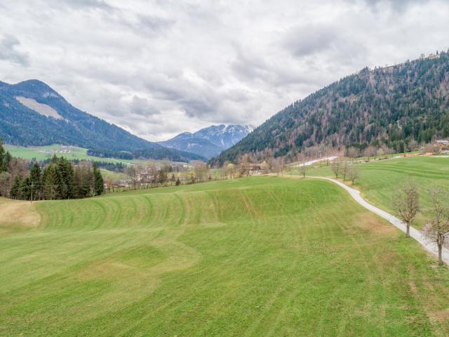 Directe omgeving (<1 km)