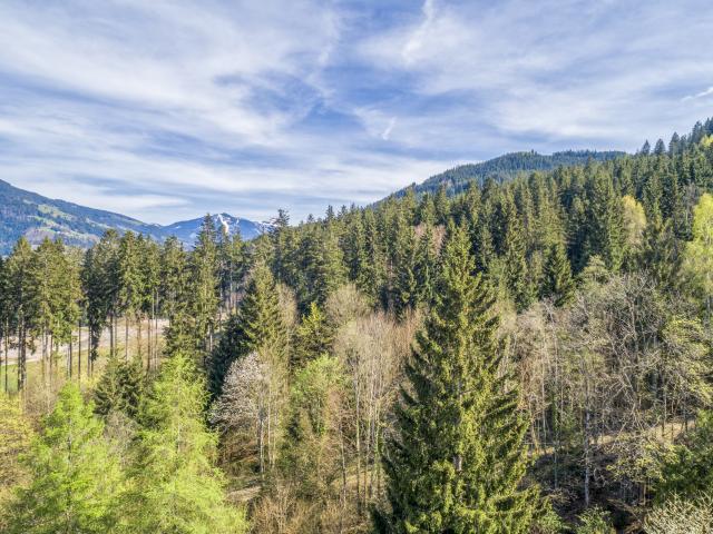 Dans la région (>5 km)