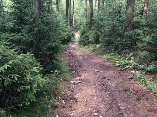 Direkte Umgebung [Sommer] (<1 km)