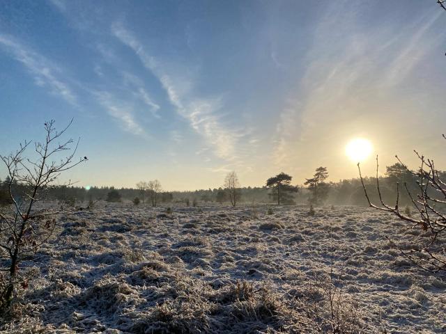 Direkte Umgebung [Sommer] (<1 km)