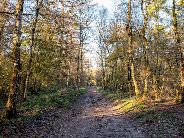 Direkte Umgebung [Sommer] (<1 km)