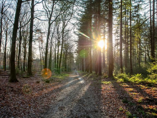 Direkte Umgebung [Sommer] (<1 km)
