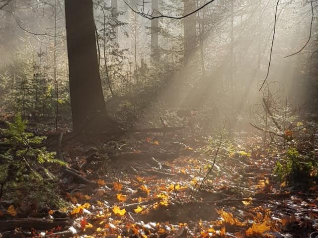 Umgebung [Sommer] (1-5 km)