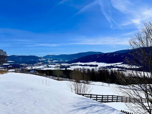 Immediate Surroundings (<1 km)