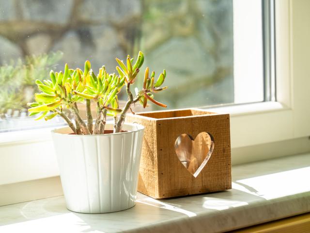 Ambiente / Nahaufnahme