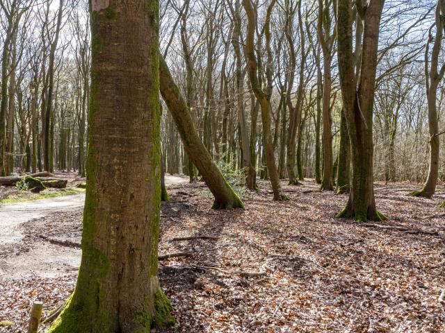 Umgebung [Sommer] (1-5 km)