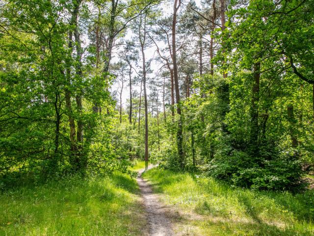 Ausstattung und Service des Ferienparks