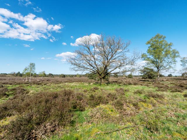 Umgebung [Sommer] (1-5 km)