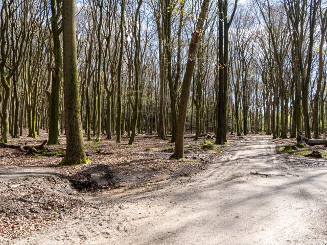 Umgebung [Sommer] (1-5 km)