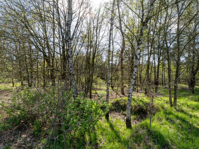 Umgebung [Sommer] (1-5 km)