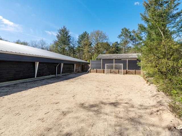 Ausstattung und Service des Ferienparks