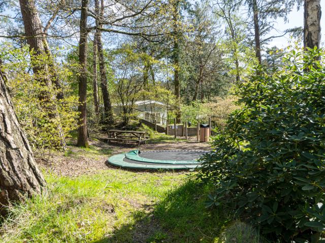 Ausstattung und Service des Ferienparks