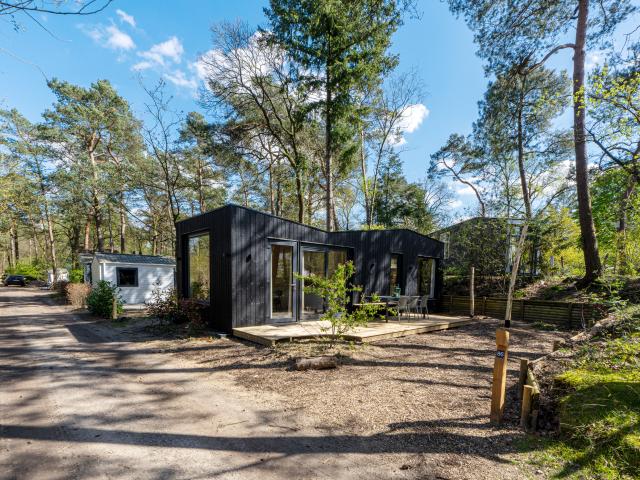 Außenseite Ferienhaus [Sommer]