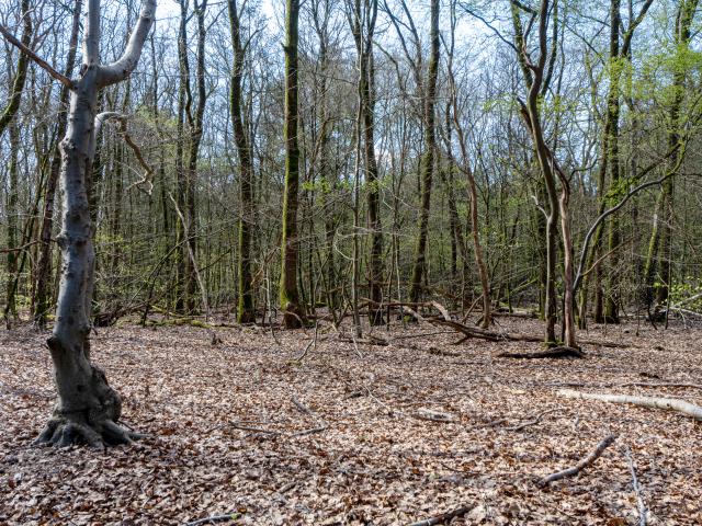 Umgebung [Sommer] (1-5 km)