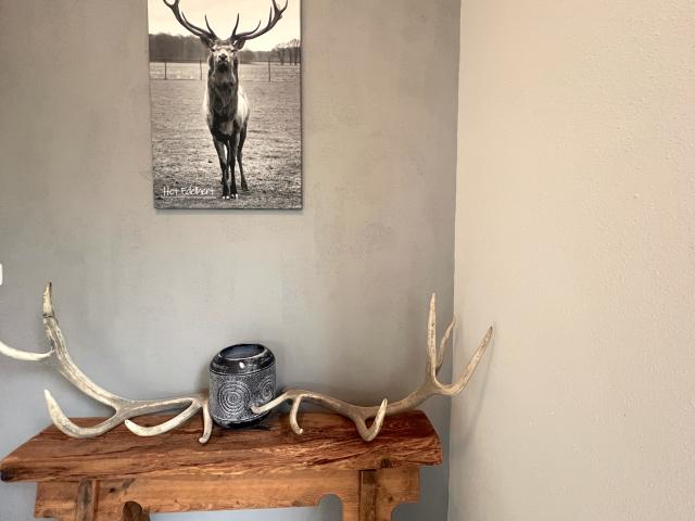 Ambiente / Nahaufnahme