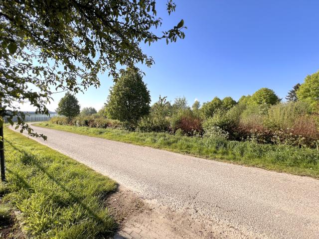 Direkte Umgebung [Sommer] (<1 km)