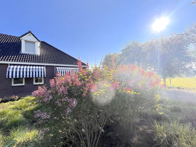 Außenseite Ferienhaus [Sommer]