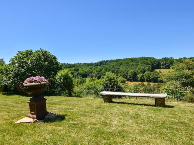 Ambiente / Nahaufnahme