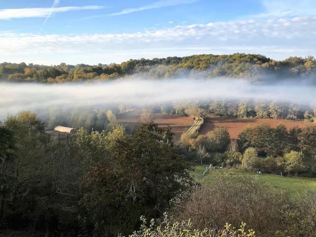 Aussicht vom Ferienhaus [Sommer]
