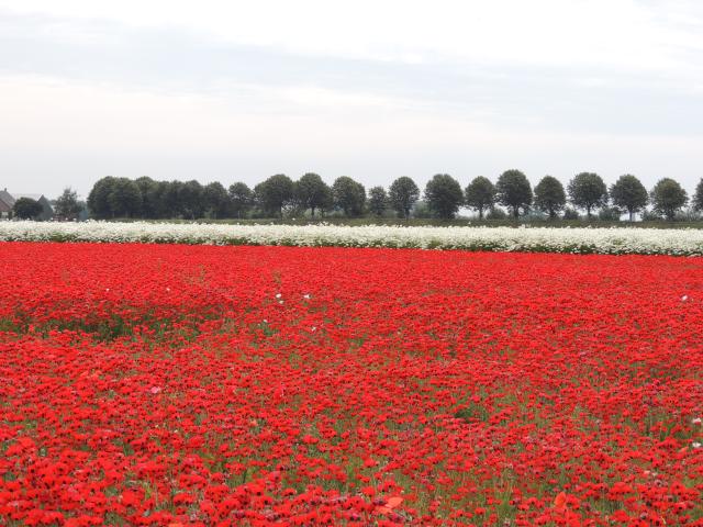 Umgebung [Sommer] (1-5 km)