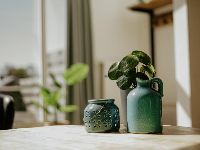 Ambiance / plan rapproché