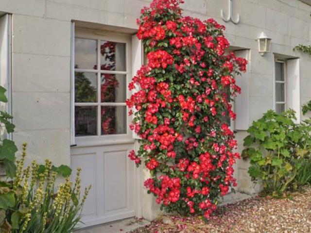 Holiday Home Exterior