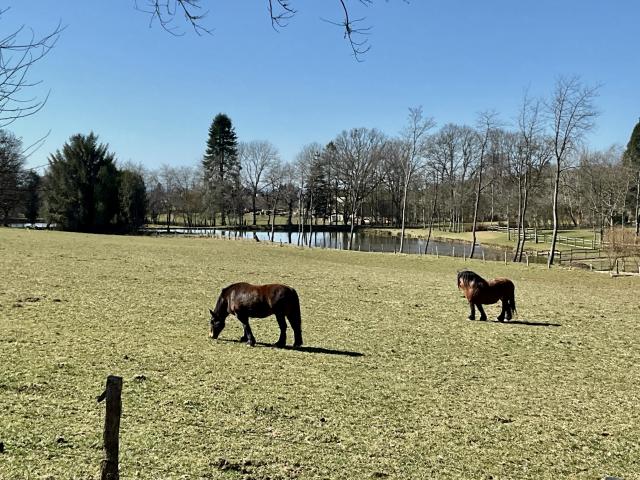 Dans les environs (1-5 km)