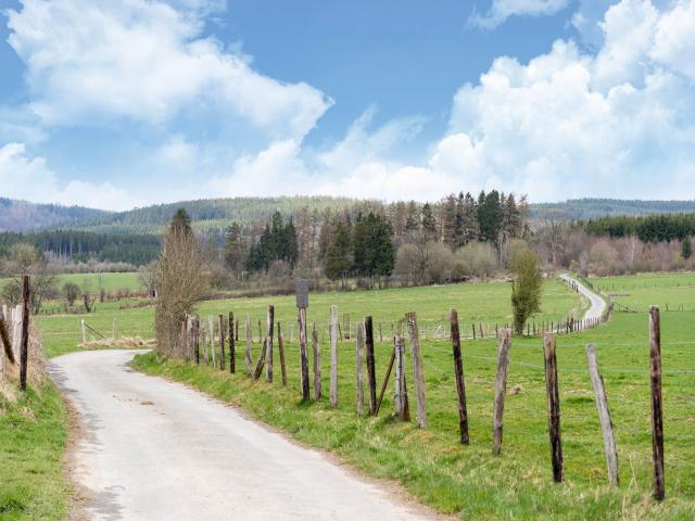 A proximité directe (<1 km)