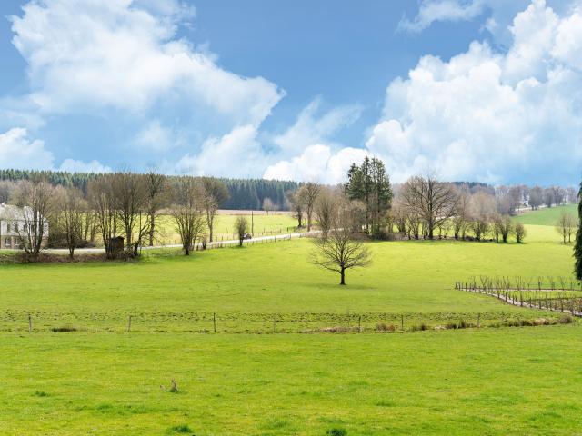 A proximité directe (<1 km)