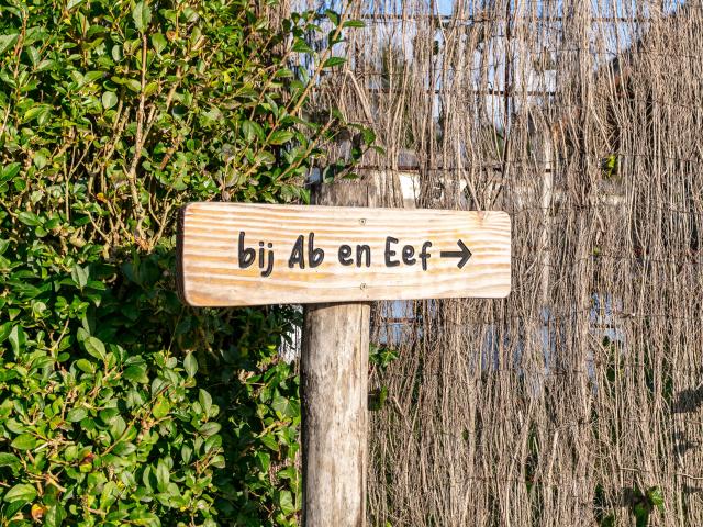 Ambiente / Nahaufnahme