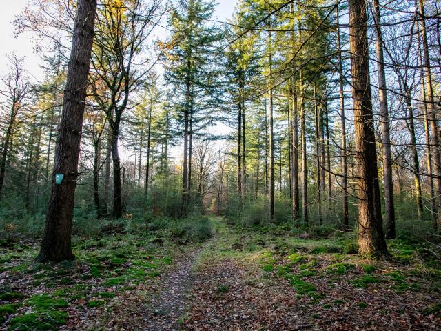 Direkte Umgebung [Sommer] (<1 km)