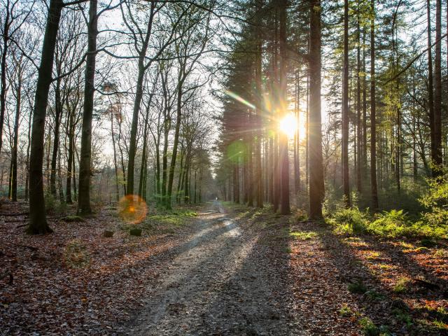 Direkte Umgebung [Sommer] (<1 km)