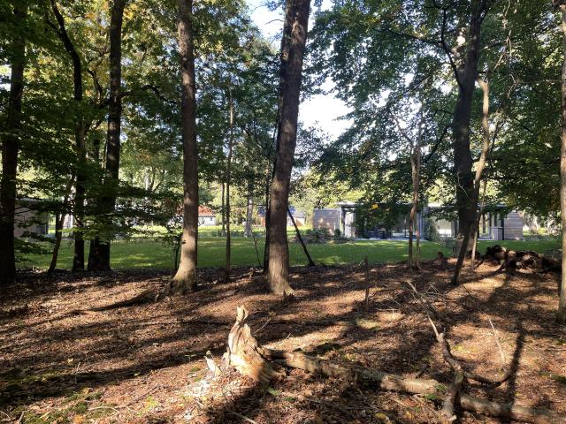 A proximité directe (<1 km)